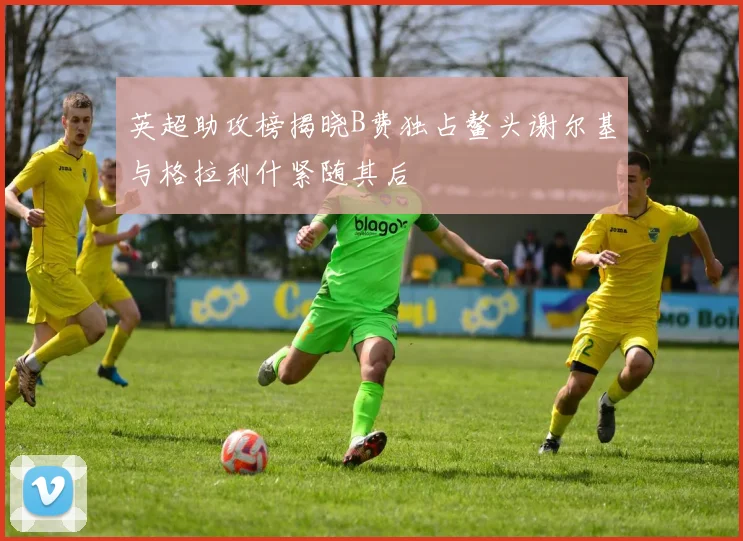 英超助攻榜揭晓B费独占鳌头谢尔基与格拉利什紧随其后