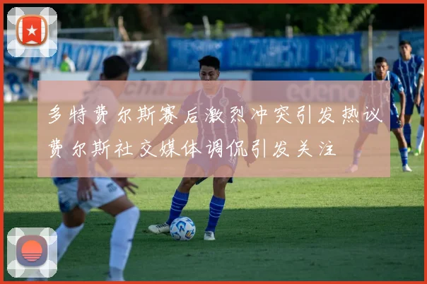 多特费尔斯赛后激烈冲突引发热议费尔斯社交媒体调侃引发关注