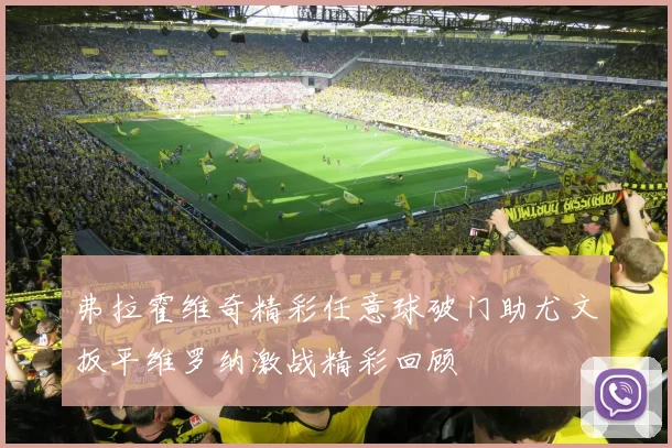 弗拉霍维奇精彩任意球破门助尤文扳平维罗纳激战精彩回顾