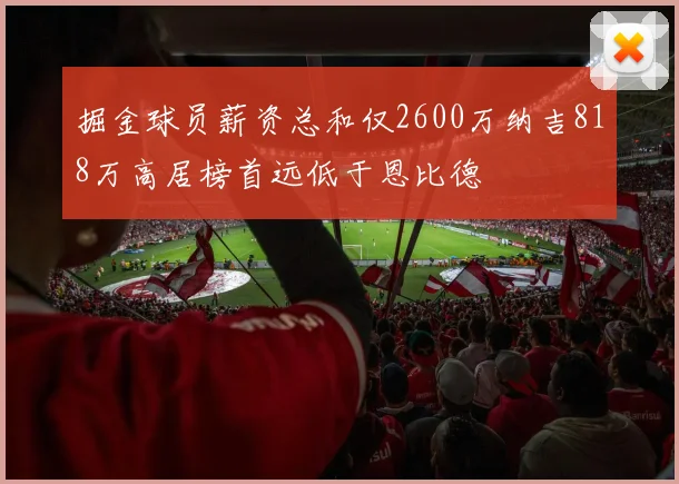 掘金球员薪资总和仅2600万纳吉818万高居榜首远低于恩比德